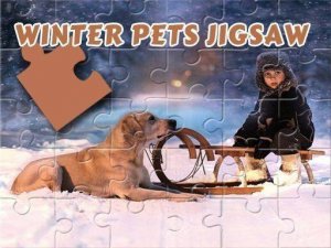 Snowy Pet Puzzle Fun