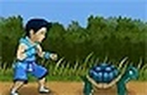 Home Run Flying Turtle Game