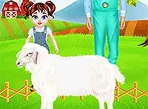 Sunny Meadow Animal Friends